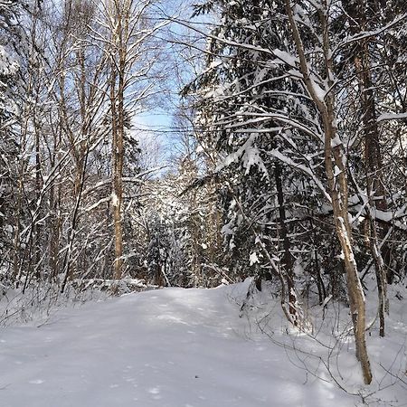Hotel La Taniere De L'Ours Saint-Donat-de-Montcalm Zewnętrze zdjęcie