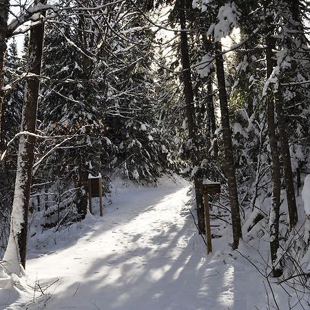 Hotel La Taniere De L'Ours Saint-Donat-de-Montcalm Zewnętrze zdjęcie