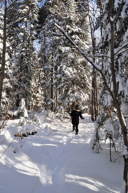 Hotel La Taniere De L'Ours Saint-Donat-de-Montcalm Zewnętrze zdjęcie