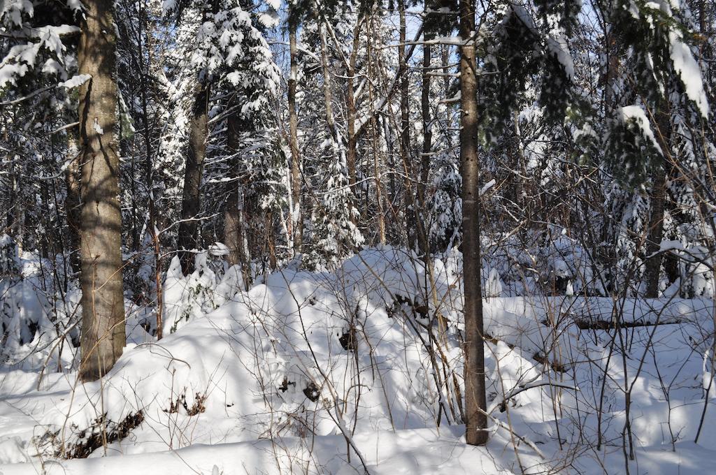 Hotel La Taniere De L'Ours Saint-Donat-de-Montcalm Zewnętrze zdjęcie