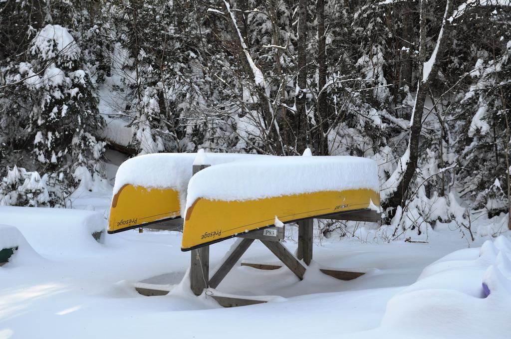 Hotel La Taniere De L'Ours Saint-Donat-de-Montcalm Zewnętrze zdjęcie
