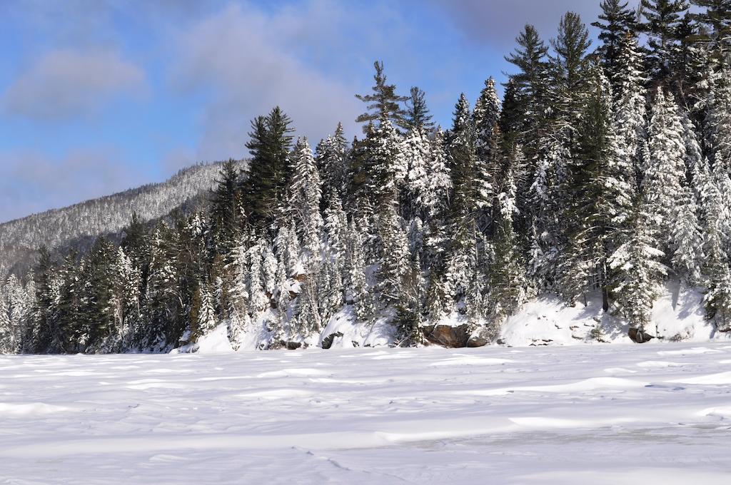 Hotel La Taniere De L'Ours Saint-Donat-de-Montcalm Zewnętrze zdjęcie