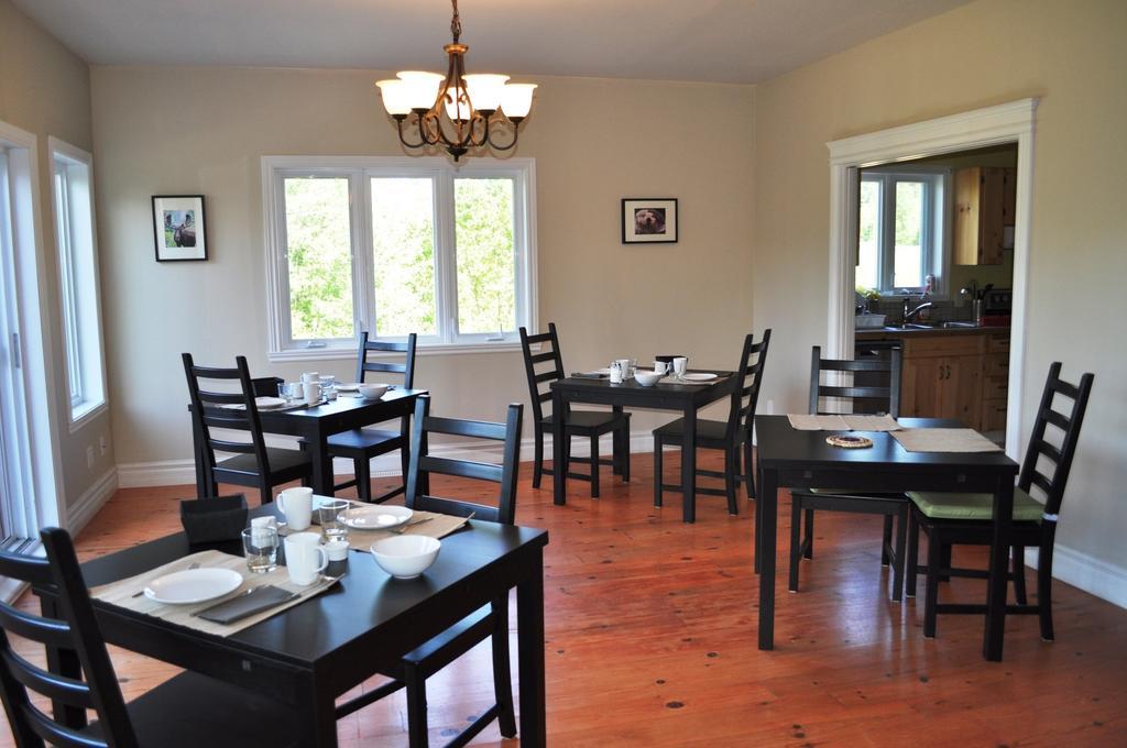 Hotel La Taniere De L'Ours Saint-Donat-de-Montcalm Zewnętrze zdjęcie